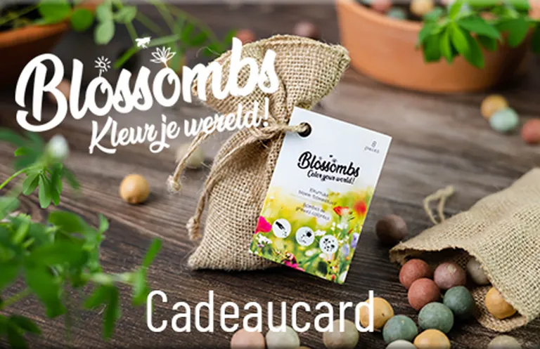 Blossombs