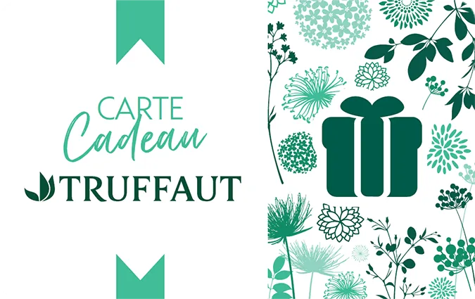 Truffaut