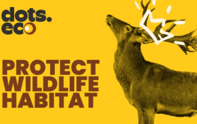 Protégez l'habitat de la faune