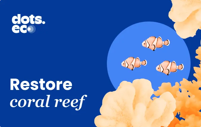 Restaurer les récifs coralliens